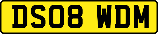 DS08WDM
