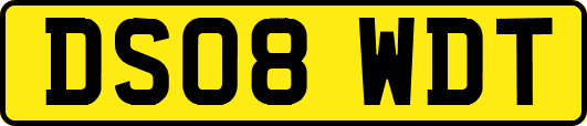 DS08WDT