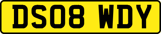 DS08WDY