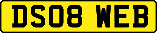 DS08WEB