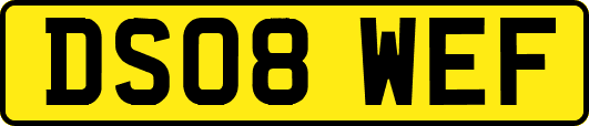 DS08WEF
