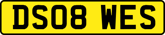 DS08WES