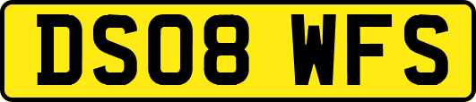 DS08WFS