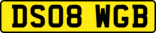 DS08WGB