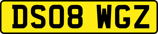 DS08WGZ