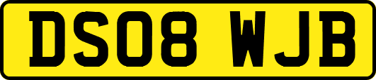 DS08WJB
