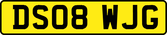 DS08WJG