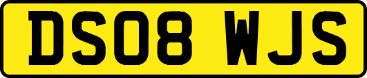 DS08WJS