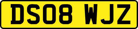 DS08WJZ