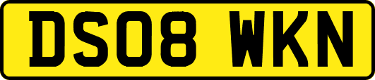 DS08WKN