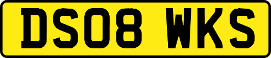 DS08WKS