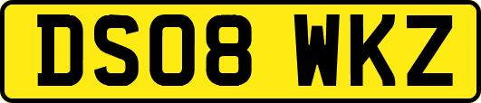 DS08WKZ