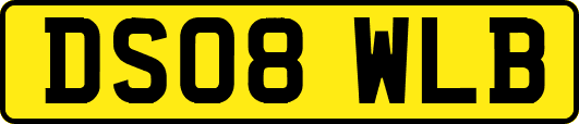 DS08WLB