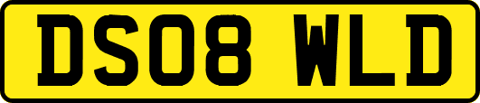 DS08WLD