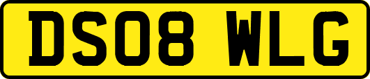 DS08WLG