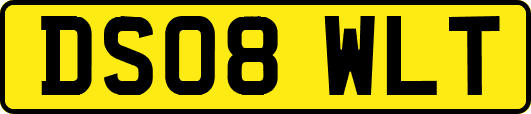 DS08WLT