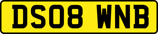 DS08WNB