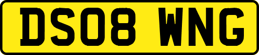 DS08WNG