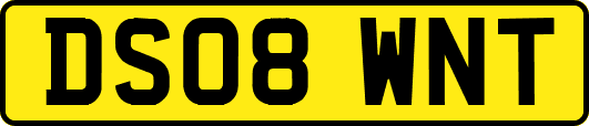 DS08WNT