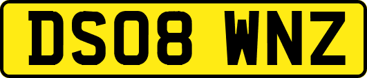DS08WNZ