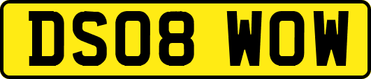 DS08WOW