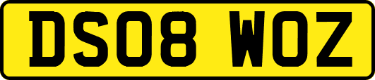 DS08WOZ