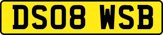 DS08WSB