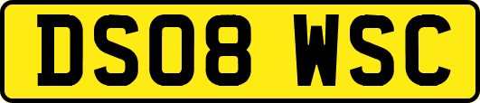 DS08WSC