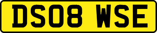 DS08WSE