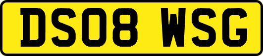 DS08WSG