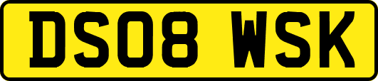 DS08WSK