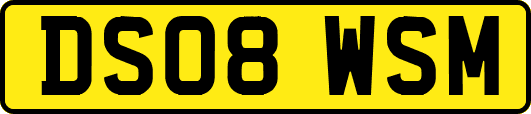 DS08WSM