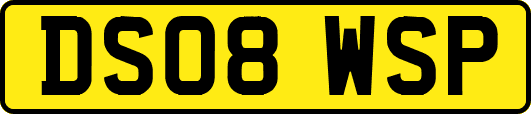 DS08WSP