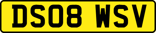 DS08WSV