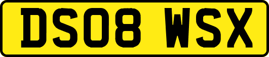 DS08WSX