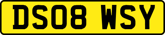 DS08WSY