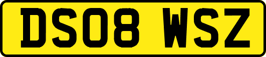 DS08WSZ