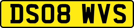 DS08WVS