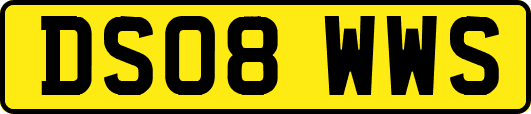 DS08WWS