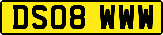DS08WWW