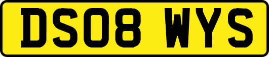 DS08WYS