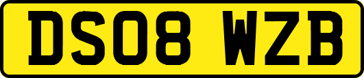 DS08WZB