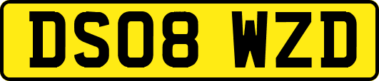 DS08WZD