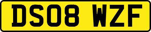 DS08WZF