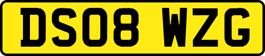 DS08WZG