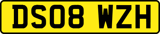 DS08WZH