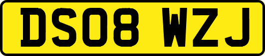 DS08WZJ