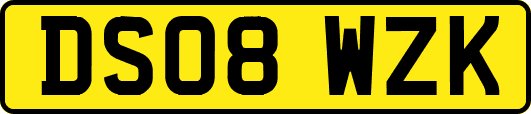 DS08WZK