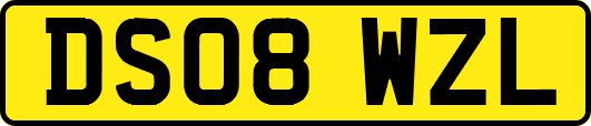 DS08WZL