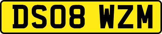 DS08WZM